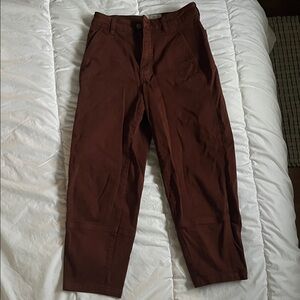 Everlane Brown Work Pants